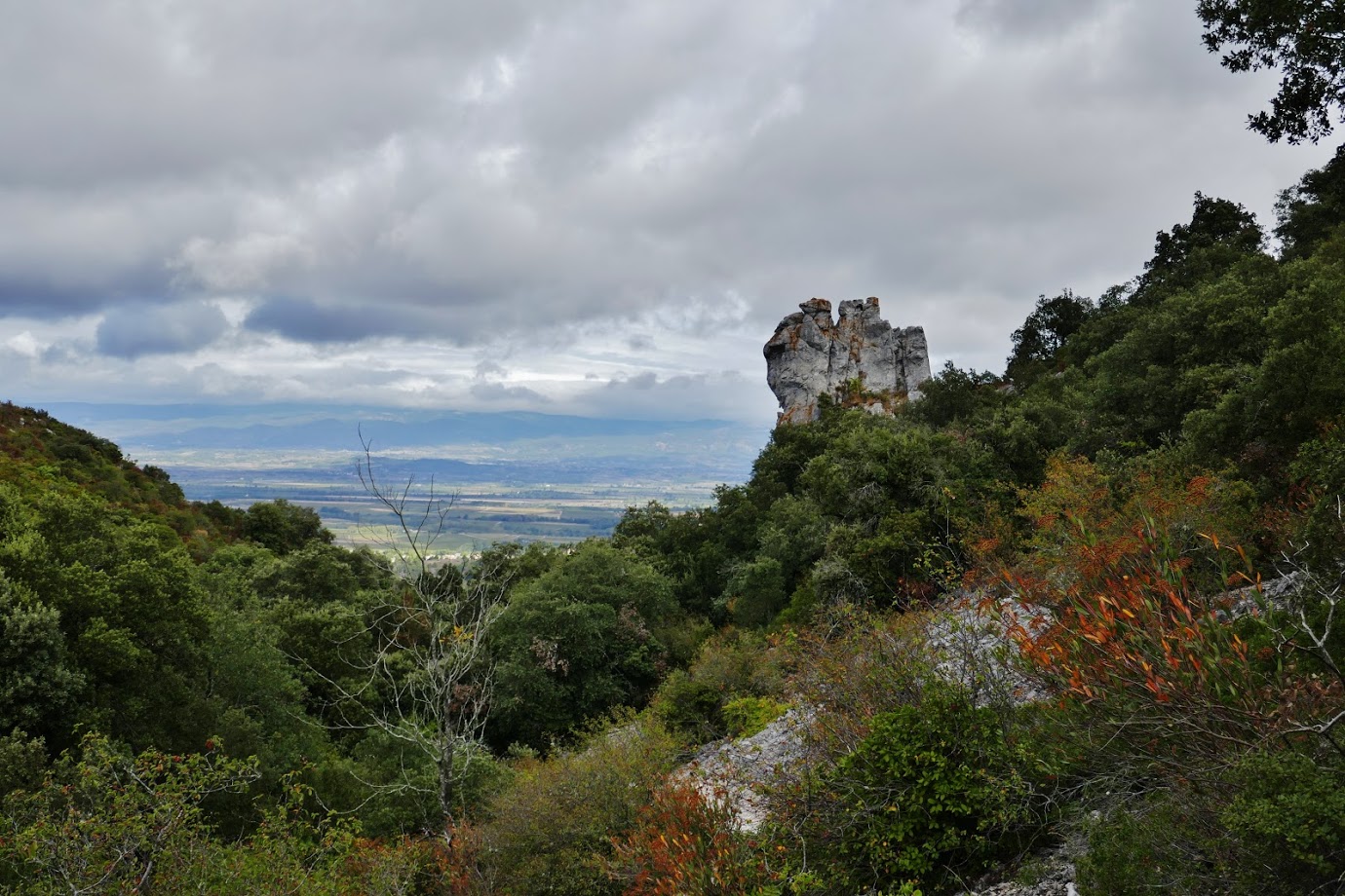 Dans la Combe Migère