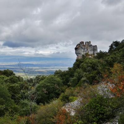 Dans la Combe Migère