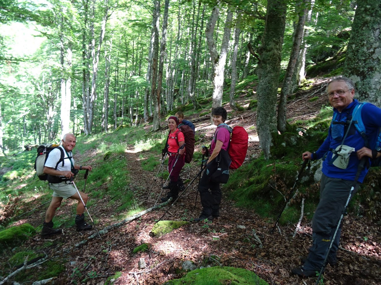 Dans le Bois de Sénard