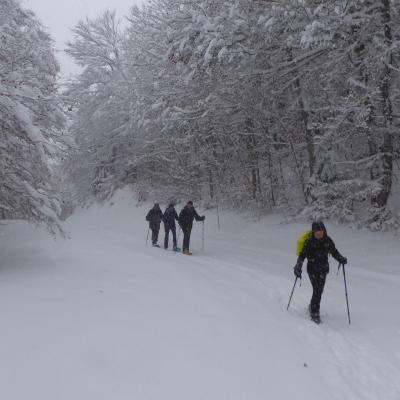 28-11-2021 Le Castelet-Chioula