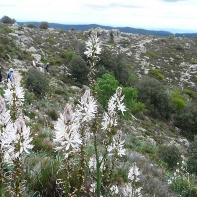 19-05-2019 Le Caroux