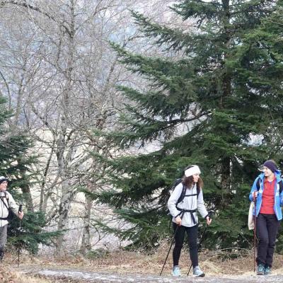 16 - 02 - 2025 Nistos