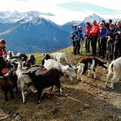 20-11-2016 Saint Lary