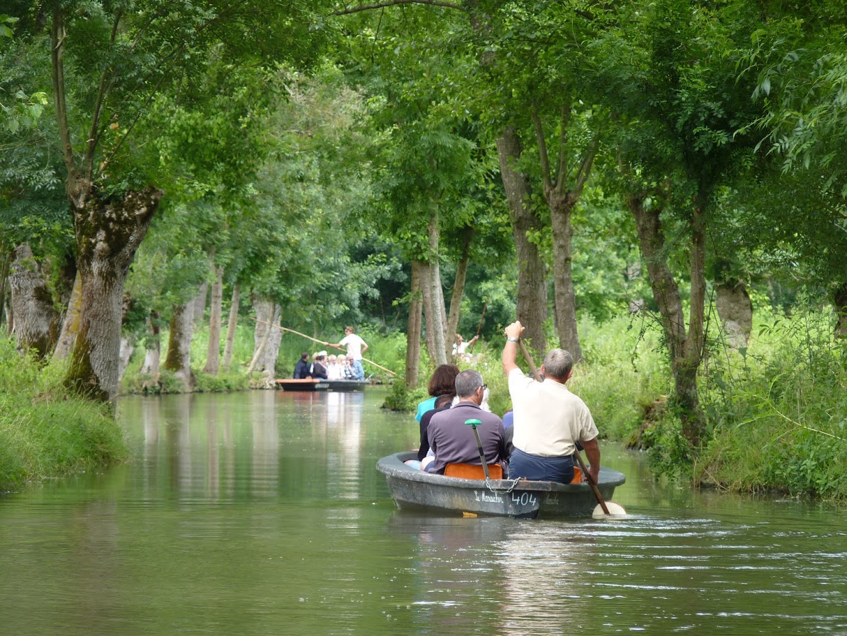 La Venise verte à Coulon