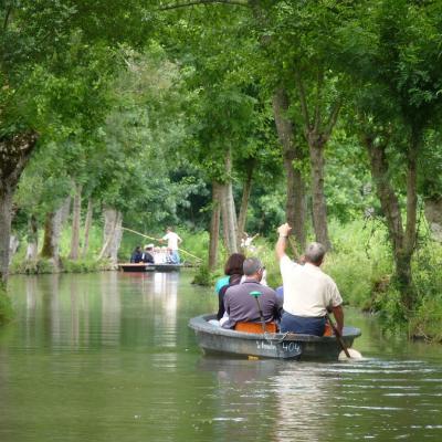 La Venise verte à Coulon