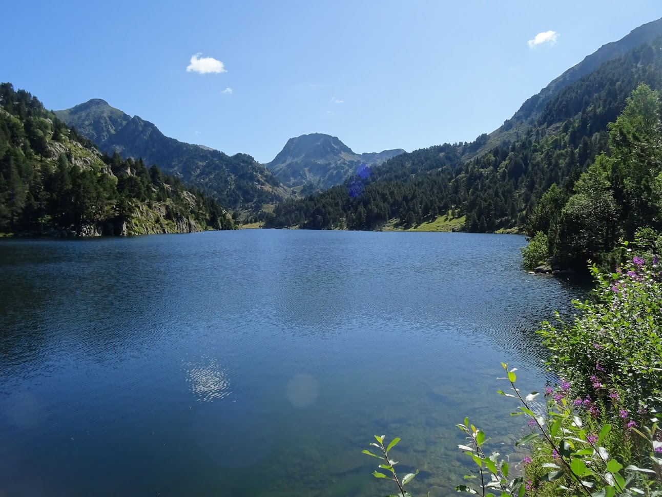 Jour 1 - Etang des Bésines