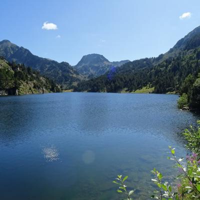 Jour 1 - Etang des Bésines