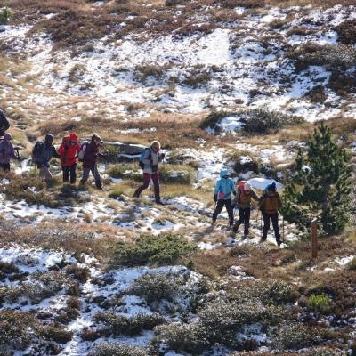 24-11-2024  Les Cabannes-Beille