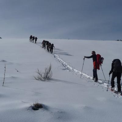 02-02-2025 Prades-Goulours