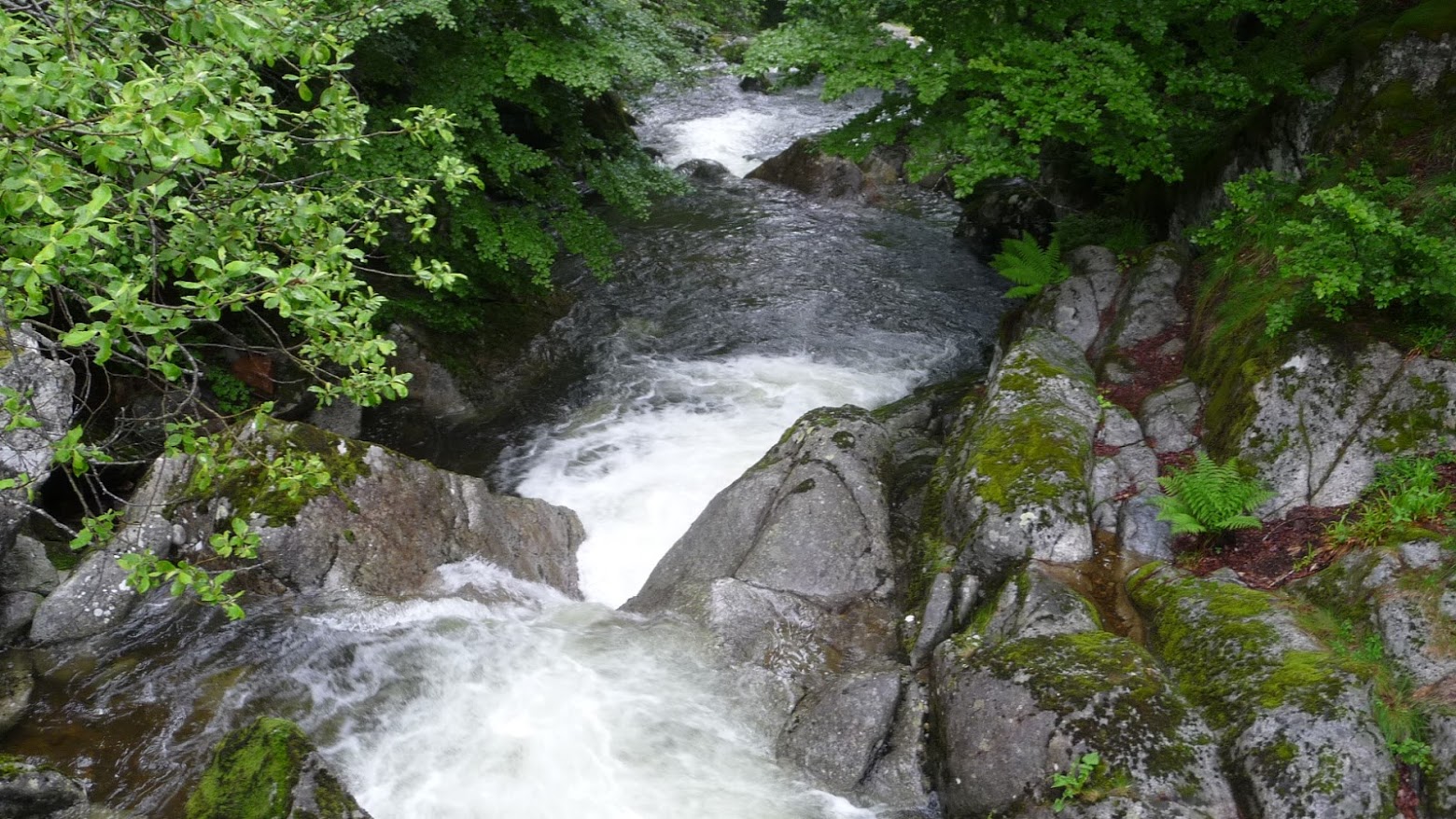 Ruisseau du Quioulès