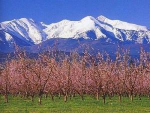 Canigou